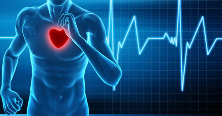 Здоровое сердце и давление