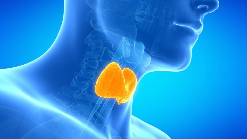 гипоплазия щитовидной