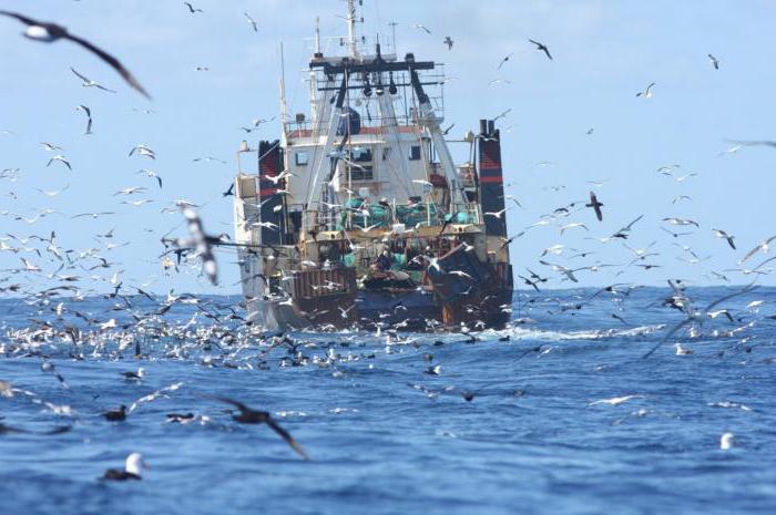 work at sea on fishing vessels Sakhalin