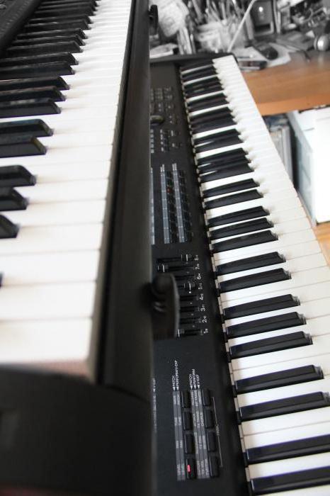 casio ctk 3000 reviews