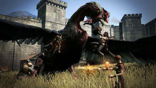 Dragon s dogma как играть по сети