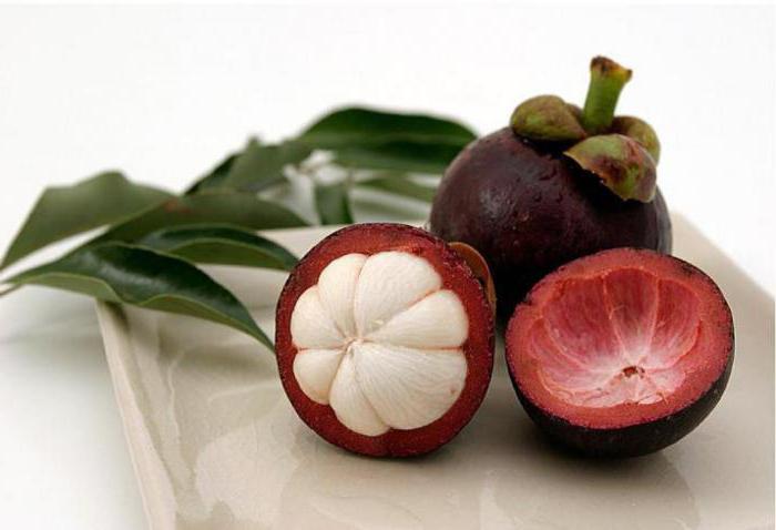 мангустин фрукт полезные свойства 