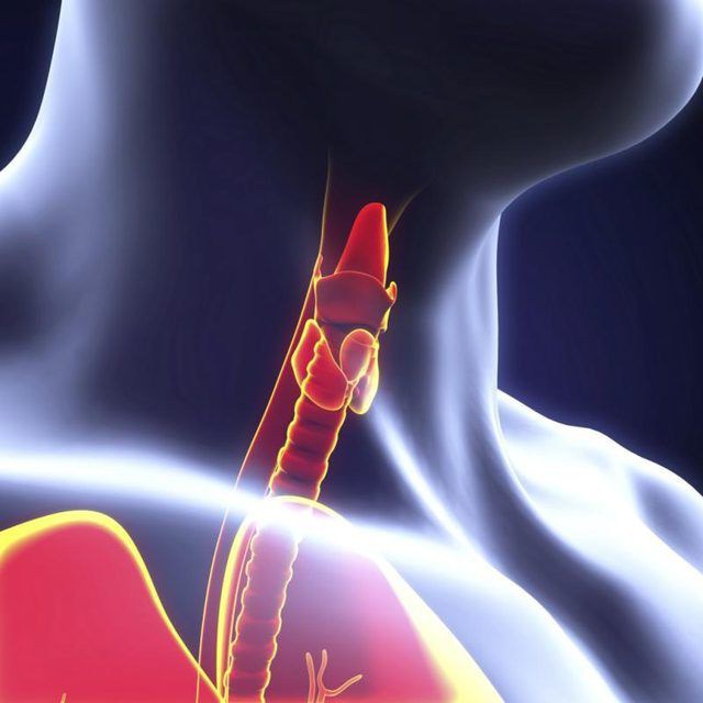 признаки узлового образования левой доли щитовидной железы