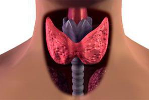 узловые образования щитовидной железы