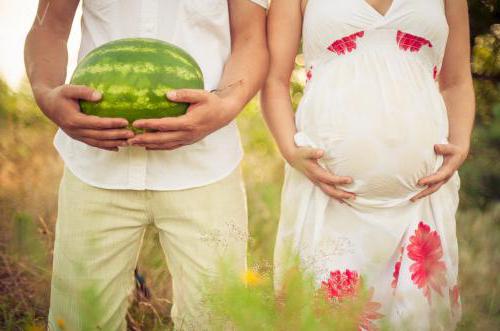 фотосессия беременной с арбузом 