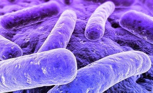 Бактерия микоплазма