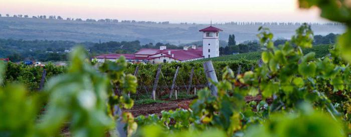 Temryuk cognac wine factory