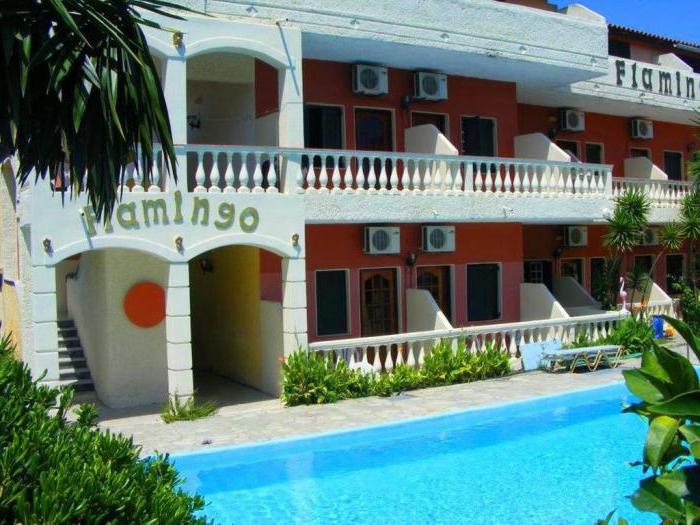 корфу corfu flamingo apartments 3 отзывы