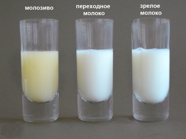 varieties of milk