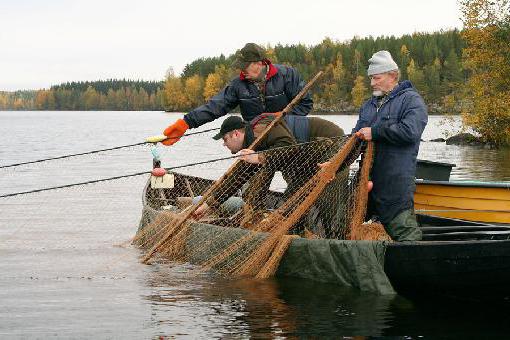 ловля бреднем 