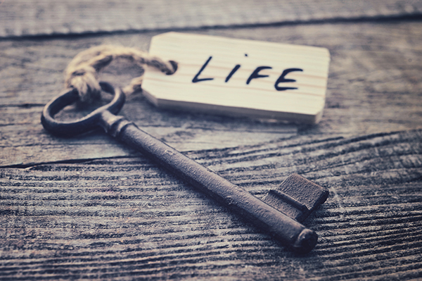 Key labeled Life