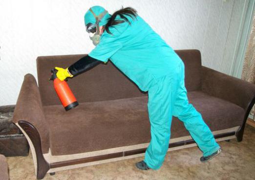 Женщина обрабатывает диван от клопов