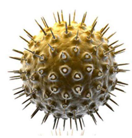 Ретровирус симптомы и лечение