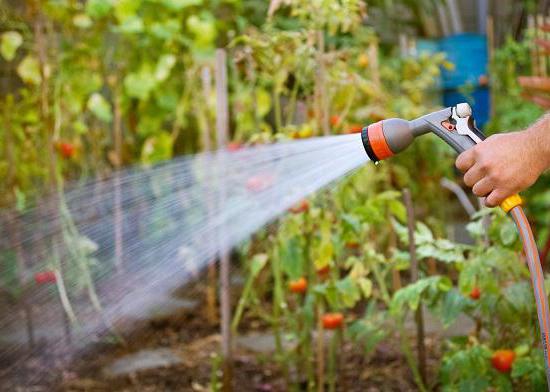 Watering well pumps