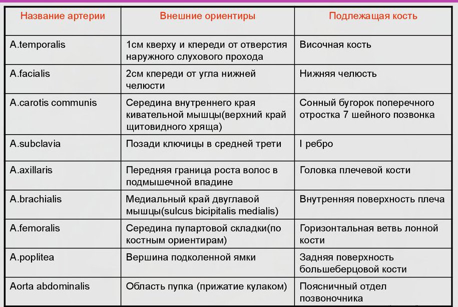 Точки пальцевого прижатия артерий