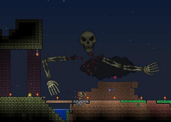 terraria skeleton