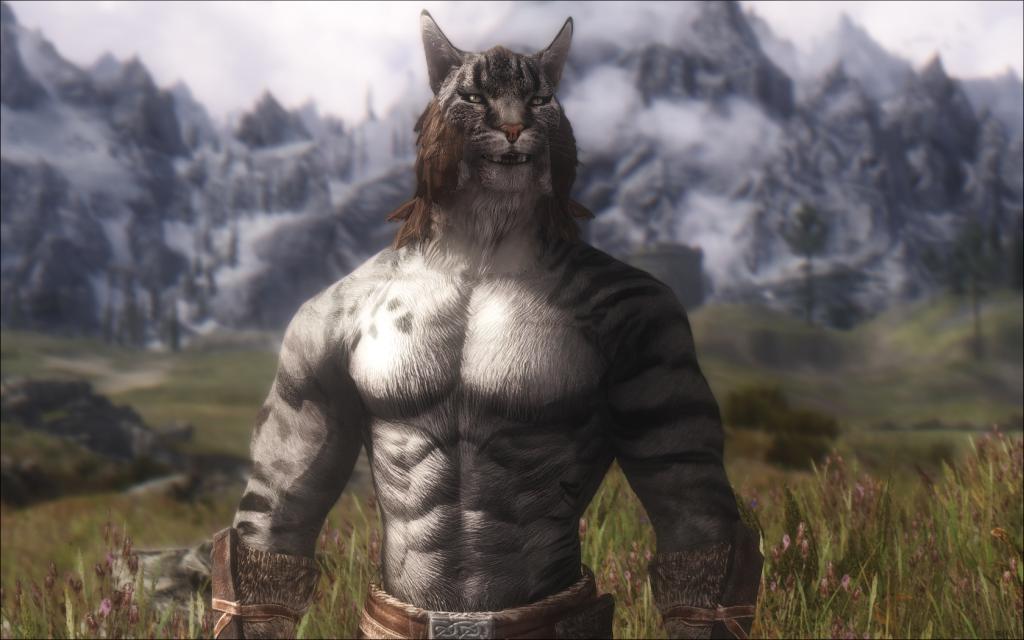 Мод Muscular Khajiit