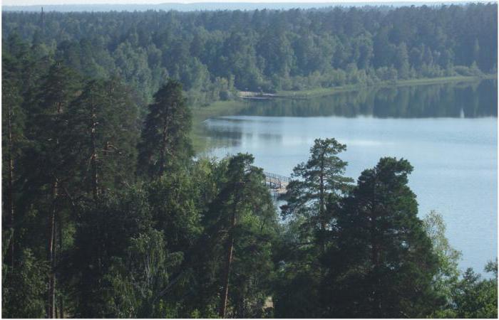 погода белое озеро ульяновская область
