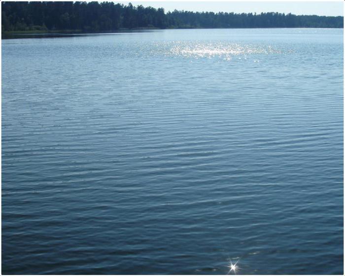 белые озера ульяновской области