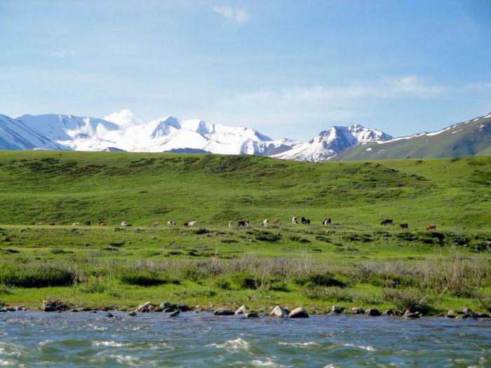 какие горы в киргизии