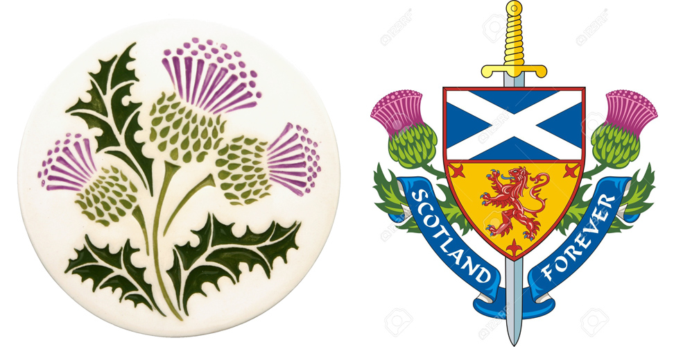 Чертополох символ Шотландии