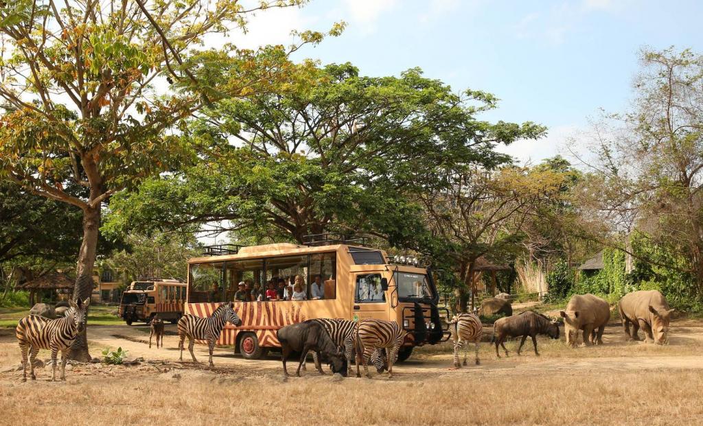 Wildlife Safari Mara