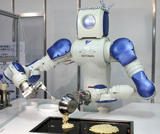 Японские человекоподобные роботы