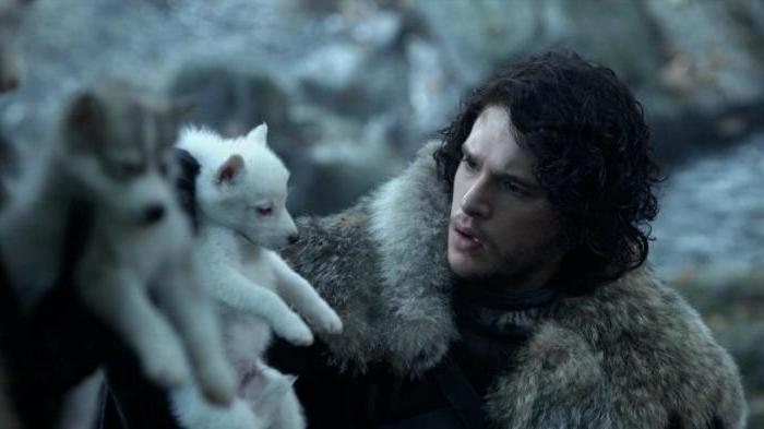 Where is John Snow Wolf