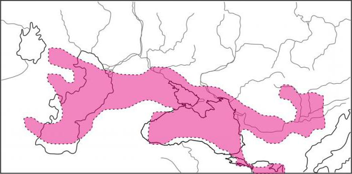 черное море размеры км