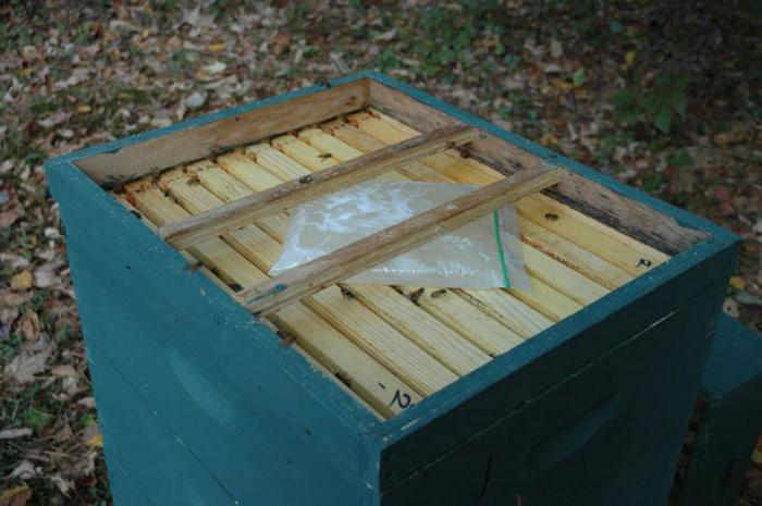 подкормка пчёл сахарным сиропом на зиму, правила подкормки