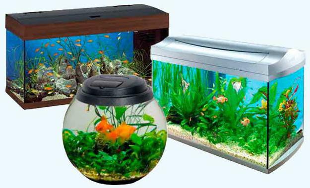 pet shop fish reserve