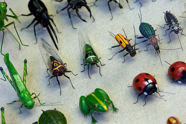к насекомым с полным превращением относятся прямокрылые двукрылые