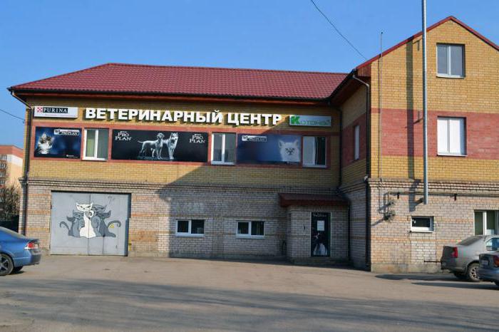 ветеринарные клиники в Пскове адреса