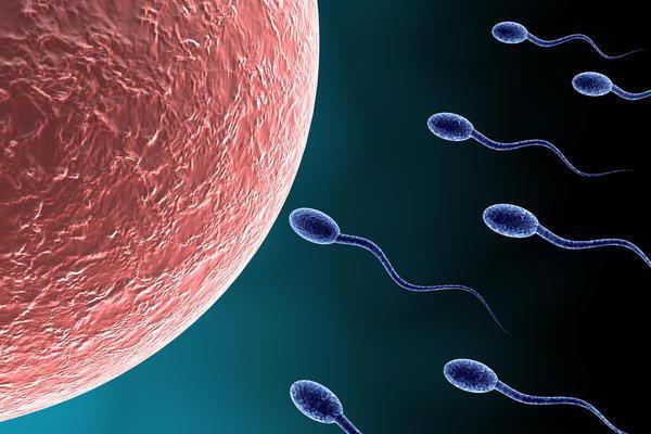 большая вязкость спермы