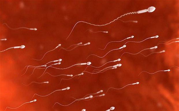вязкость спермы норма
