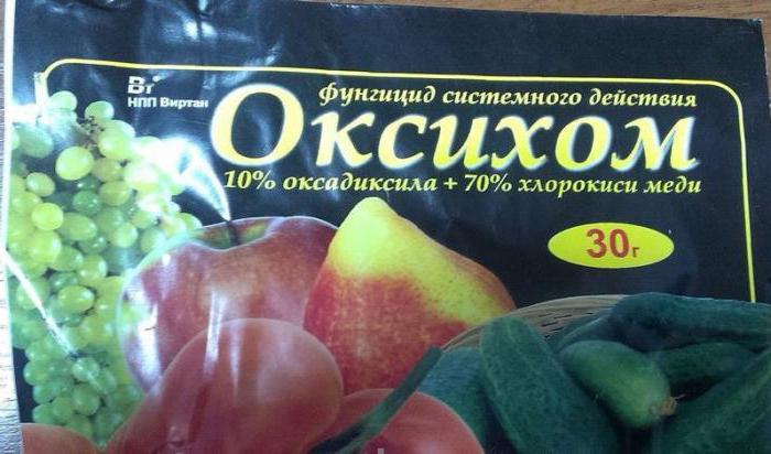 оксихом препарат для обработки растений помидор