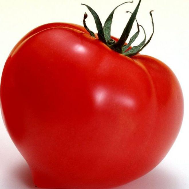 помидор большая мамочка