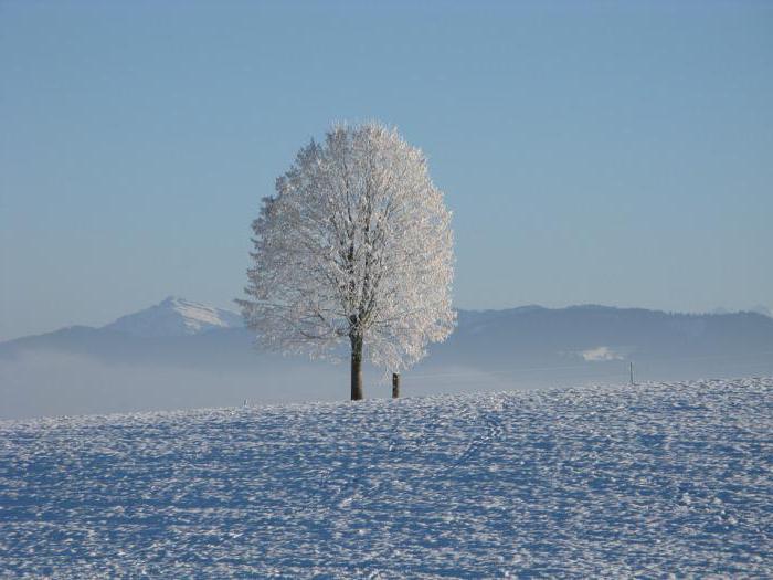 зимние месяцы связанные с явлениями живой природы