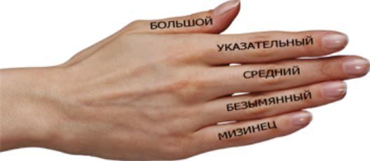 название каждого пальца на руке