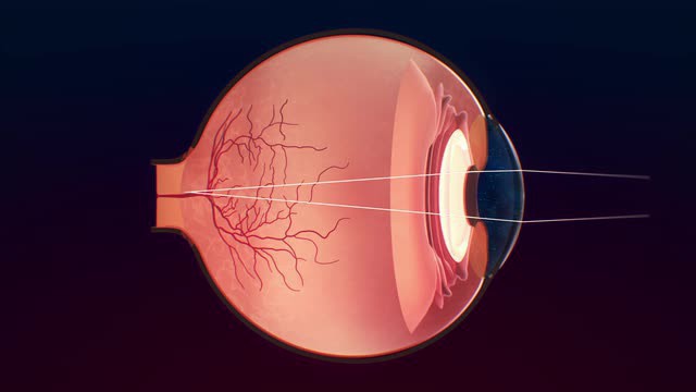 мышцы глазного яблока