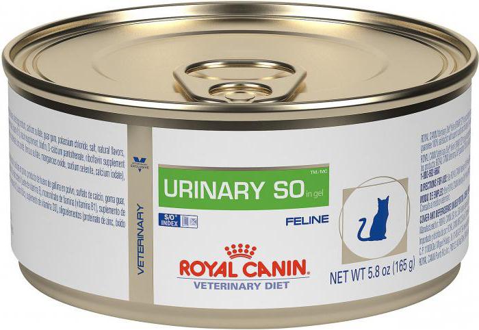 canned cat food rating