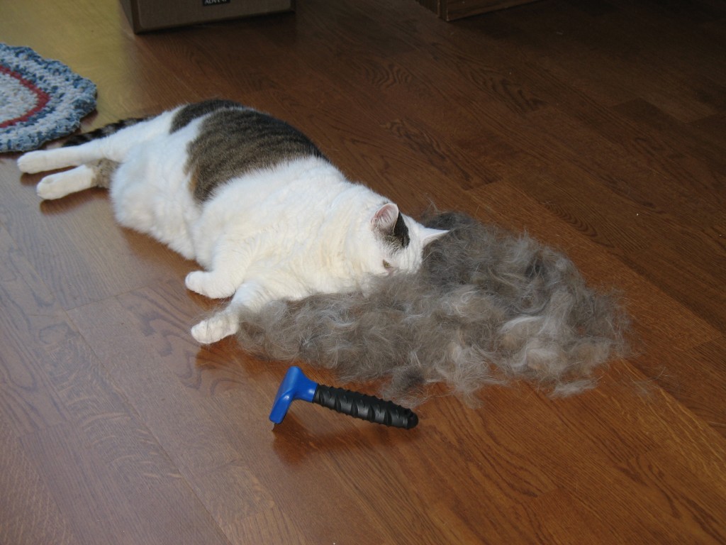 Furminator effect