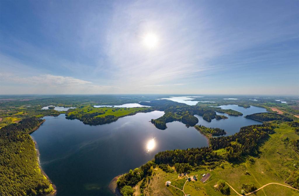 Forests of Belarus