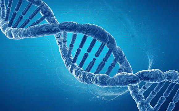 мутации генов гемостаза 
