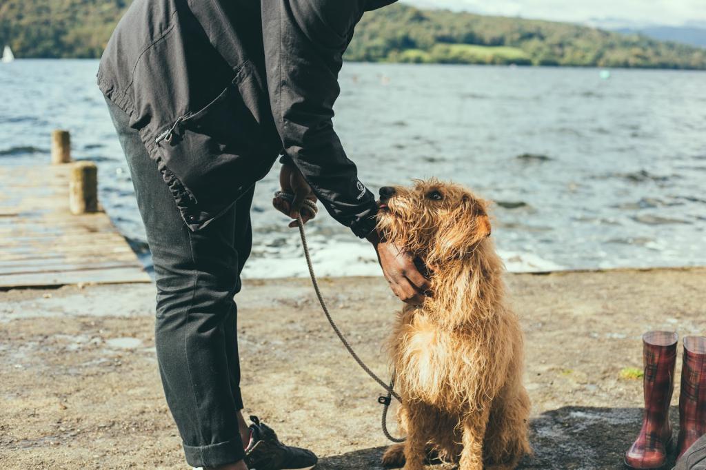 Man and dog by the lake