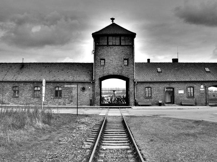 films about Auschwitz