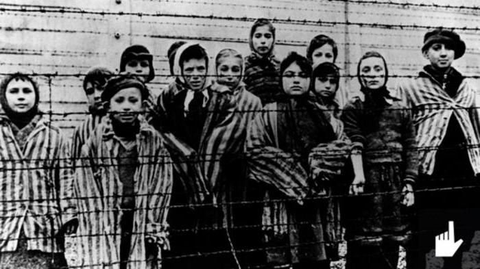 Auschwitz documentary