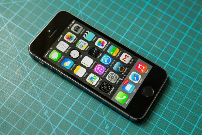 iPhone 5s gsm или cdma как узнать
