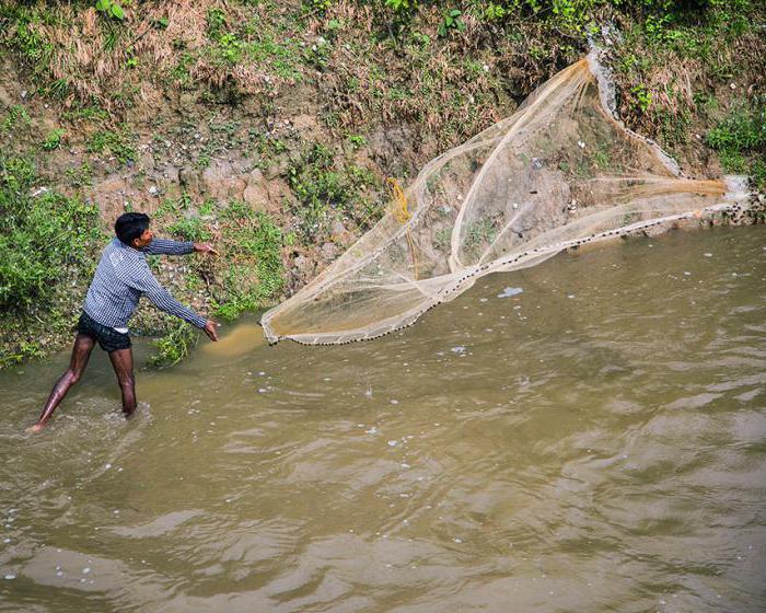 ловля рыбы сетью на реке