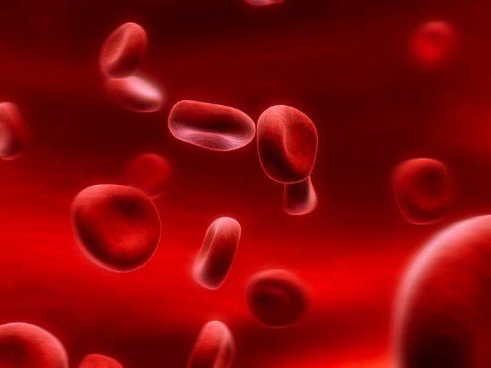 биохимический анализ крови правила подготовки